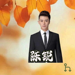 陈锐